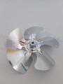 NOC_00031.1.jpg