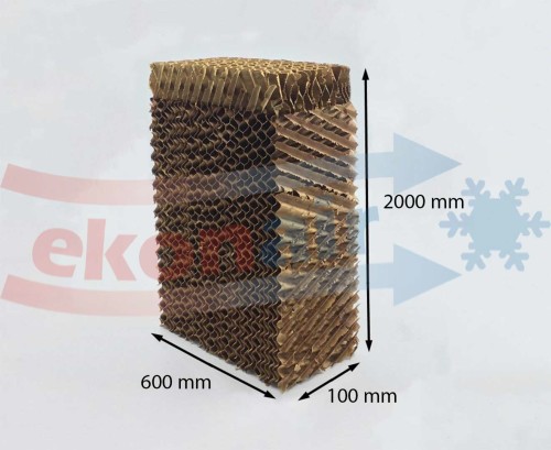 WCC_PAD_00013.jpg