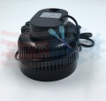 KEC_POM_00627.1.jpg