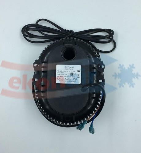 KEC_POM_00627.jpg