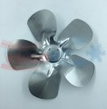 NEC_00016.1.jpg
