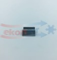 NOC_00092.jpg