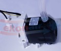 KEP_T8000.2.jpg