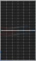 FFP_MONO375.png