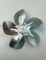 NOC_00317.1.jpg