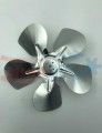 NOC_00323.1.jpg