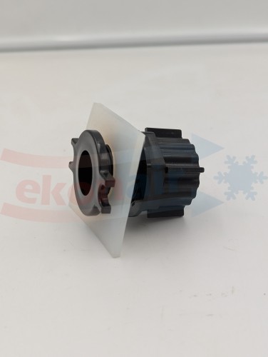 KEC_KOR_00004.2.jpg